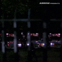 New York Film GIF by Arrow Video