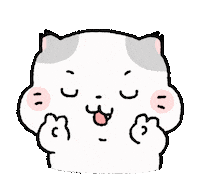 coconyangofficial cute cat 고양이 귀여운 conyang Sticker