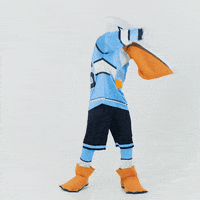 PelicansFi hockey mascot ice hockey pelicans GIF