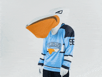 PelicansFi hockey mascot ice hockey pelicans GIF