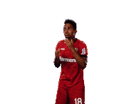 Bayer 04 Love Sticker by Bayer 04 Leverkusen