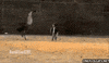 Wildlife gif. An ostrich is chasing a toddler through the field and the toddler looks rightfully freaked out as he runs away.