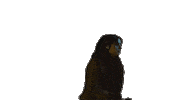 Ren Moshpit Sticker by renforshort
