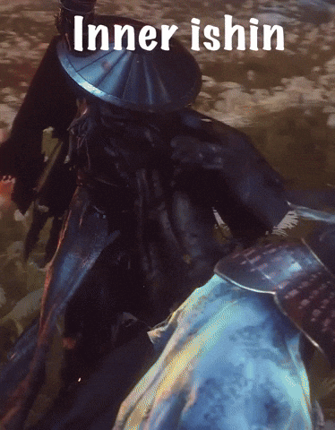 Thexyntherix sekiro xyntherix ishindies sekirokillsishin GIF