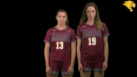 D3Soc Cuc19 GIF by CUCougars