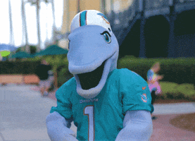 Miami Dolphins Dancing GIF by NFL