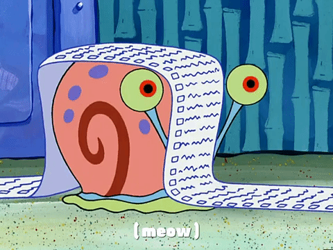 season 3 GIF by SpongeBob SquarePants