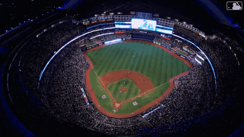 Canadian Baseball GIF by Toronto Blue Jays