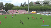 3ecke11er goal tor op ofc GIF