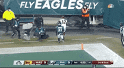 Regular Season Football GIF by NFL