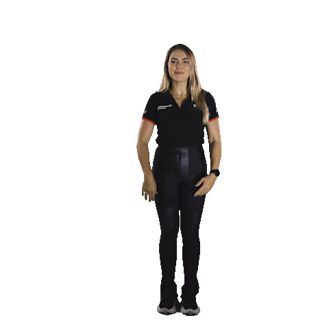 Tv Host Instagram Sticker by Porsche GT3 Cup Brasil