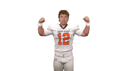 Cnfb26 Sticker by Carson-Newman Athletics