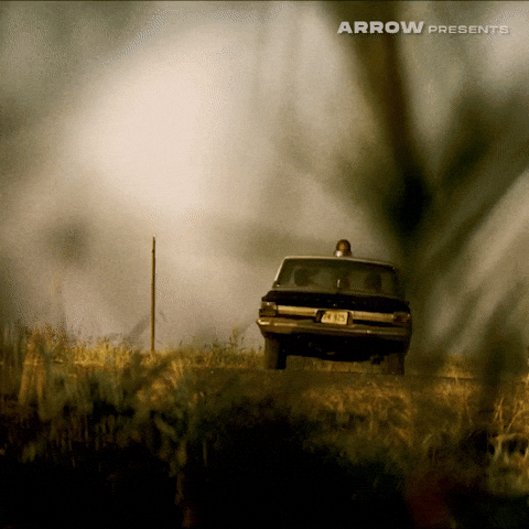 Texas Chainsaw Massacre Film GIF by Arrow Video