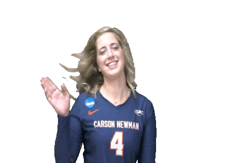 C-N Volleyball Sticker by Carson-Newman Athletics