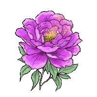 Pink Flower Sticker