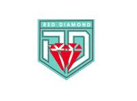 F45 Pc Red Diamond Sticker by F45 PORT CREDIT TRAINING