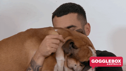 Dog Lol GIF by Gogglebox Australia