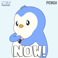 Lets Go GIF by Pudgy Penguins