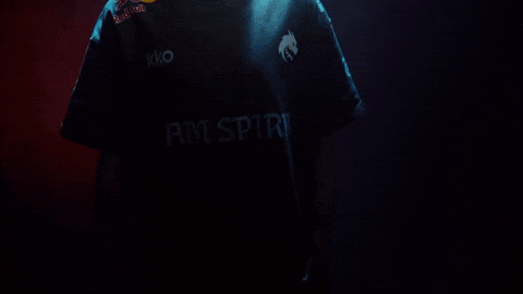 Hong Kong Esports GIF by BLAST