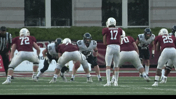 Football Touchdown GIF by Lafayette Leopards