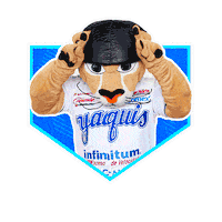 obregon Sticker by Yaquis de Obregón