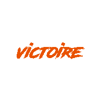 SPUChandball handball victory victoire pessac Sticker