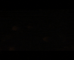New Haven Fire GIF by District Dave
