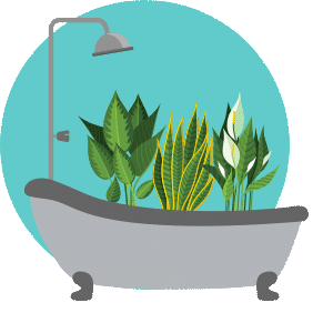 Water Plant Sticker by PRO-MIX Gardening