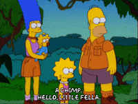 homer simpson GIF