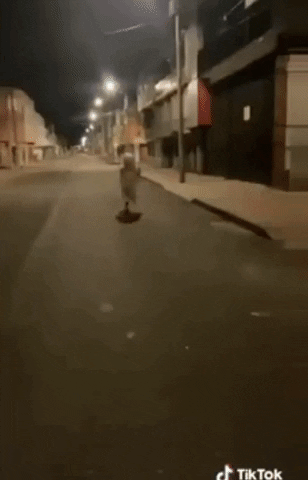 ElGrinch  GIF