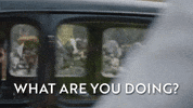 Confused What Are You Doing GIF by All Creatures Great And Small