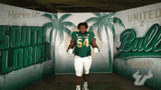 South Florida Flex GIF by USF Athletics