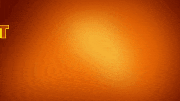 Pikachu GIF by Pokémon
