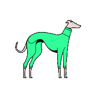 harvoola dog puppy iggy greyhound Sticker