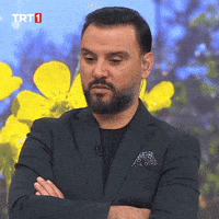 Tamam Yes GIF by TRT