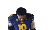 Ncaa Football Go Bears Sticker by Cal Athletics
