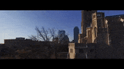 indiana GIF