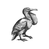 Natural History Illustration Sticker by The Wild Curiosity