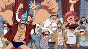 celebrate one piece GIF by Funimation