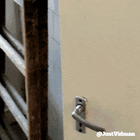 JustVidman party animation reallifedoodles justvidman GIF