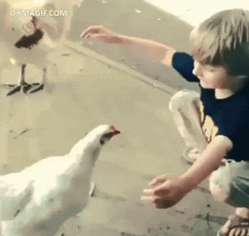 plopppppp  GIF