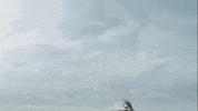 Water Omg GIF by Warner Bros. Deutschland