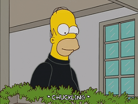 homer simpson GIF