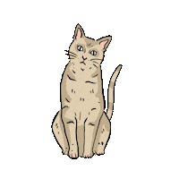 Cat Love Sticker by DilleKamille