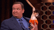 andy richter puppies GIF by Team Coco