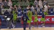 Team Kick GIF by Basketball Champions League