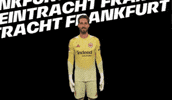 Come On Win GIF by Eintracht Frankfurt