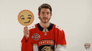 florida panthers hockey GIF