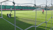 flying alisson becker GIF by Liverpool FC