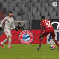 Allianz Arena Football GIF by FC Bayern Munich